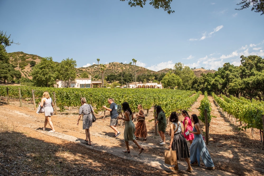 Event Series: Malibu Wine Series