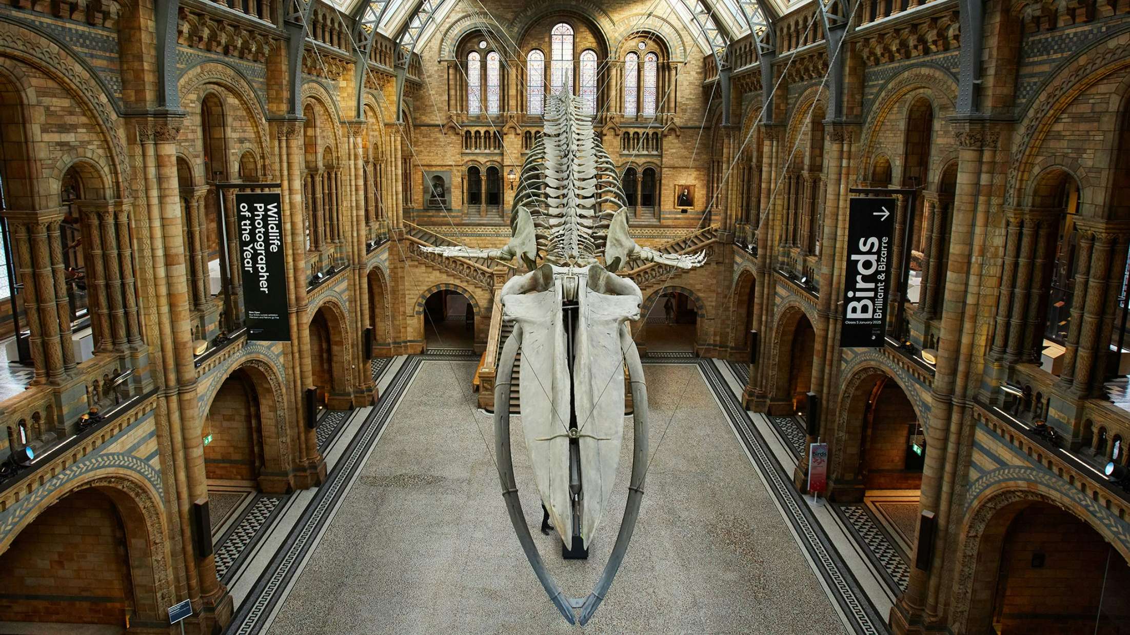 Event Series: Leaking a July 2026 venue...